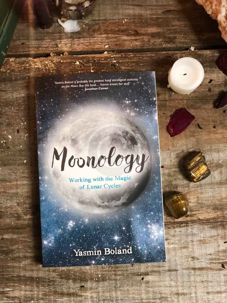 image_8fe7be1e-8a63-434d-ab62-6ad761707883_1024x1024